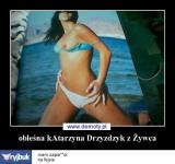 xe58z8i7ble89buyq11j.jpg